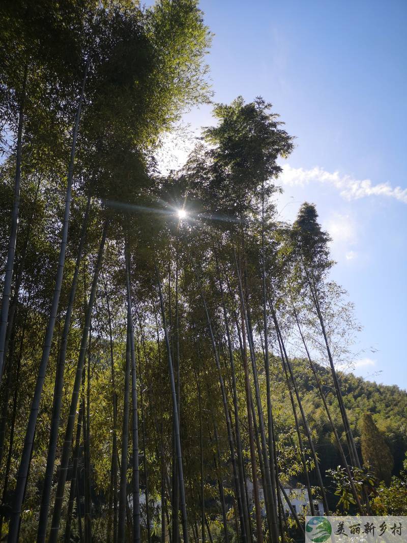 浙江省杭州市富春山高山村度假房出租