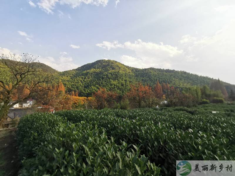 浙江省杭州市富春山高山村度假房出租