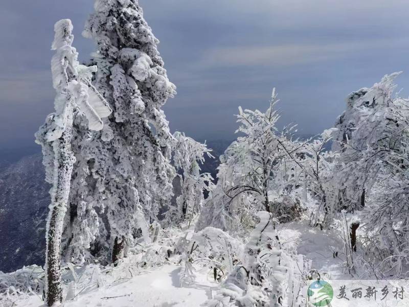 浙江省杭州市富春山高山村度假房出租