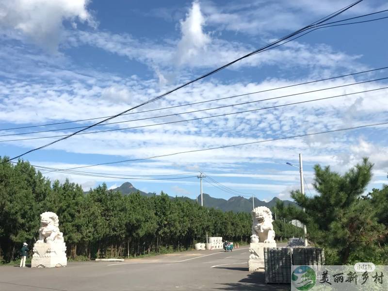 北京平谷大溶洞村稀缺一亩7居5卫山景大院儿出租