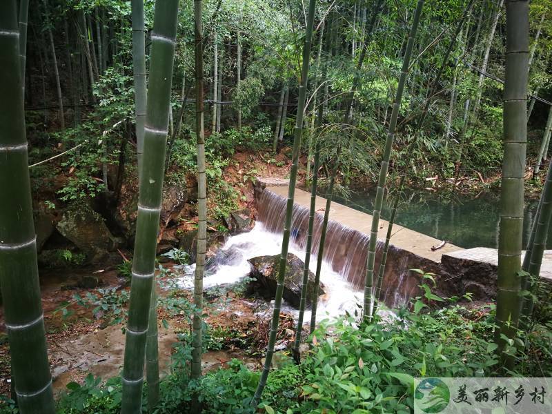 安徽九华山风景区适合做民宿或旅居康养的小院出租