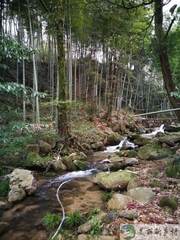 安徽九华山风景区适合做民宿或旅居康养的小院出租