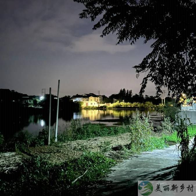 江苏省南京市黄龙岘附近精装修千平庭院出租