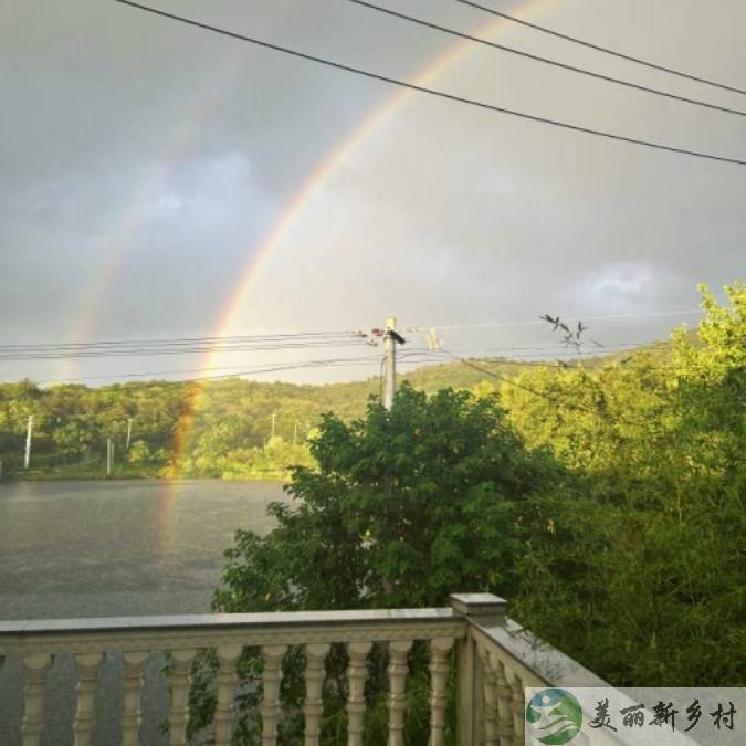 江苏省南京市黄龙岘附近精装修千平庭院出租