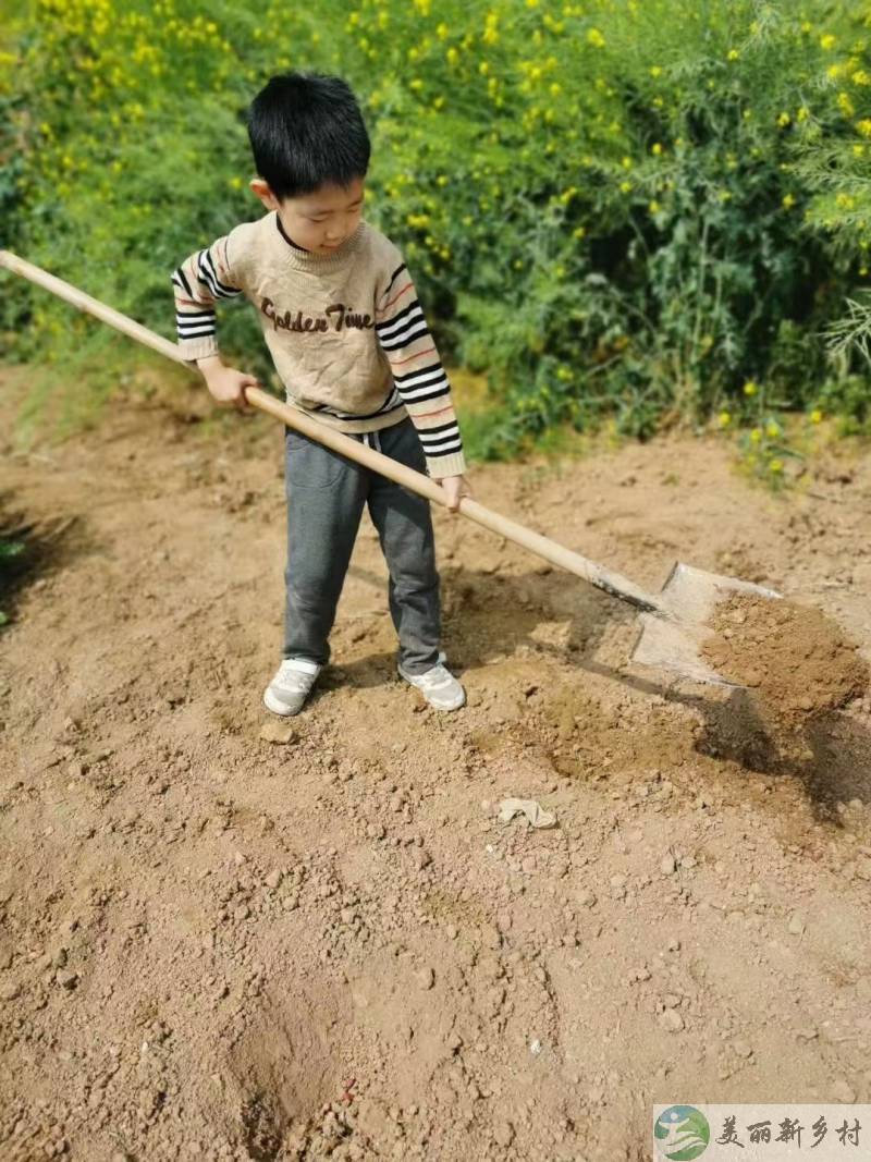 陕西西安农村院子出租-2018新建新装修，有暖气管自购取暖设备