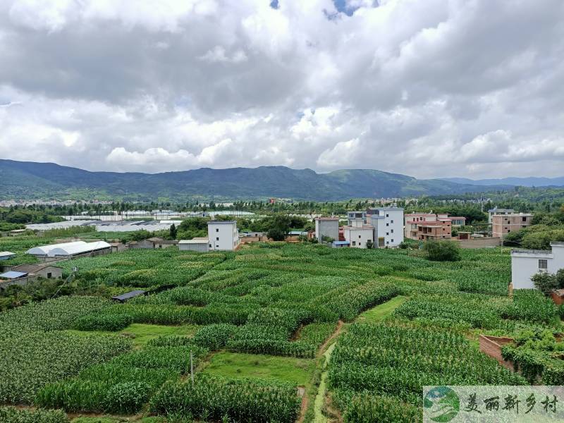 云南省昆明市阳宗海旅游度假区草甸乡农村院子出租