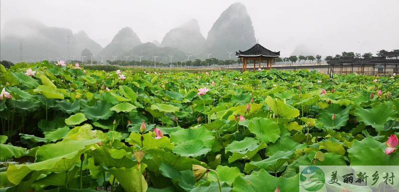 大埠乡陶家村农村别墅出租