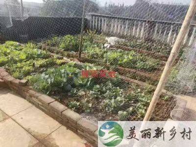 湖泗镇山城村高谢湾