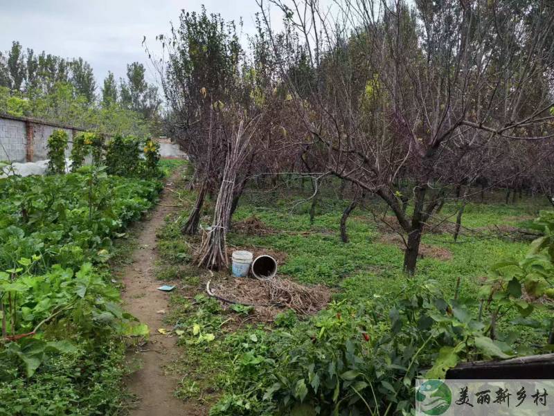 北京市顺义区南彩镇杜刘庄独门独院出租