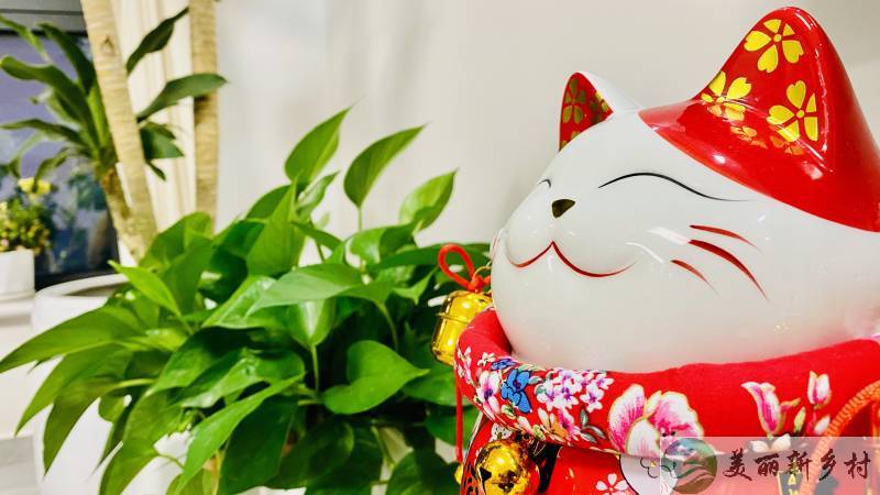 北京平谷王辛庄镇农村院子出租-二层自建别墅