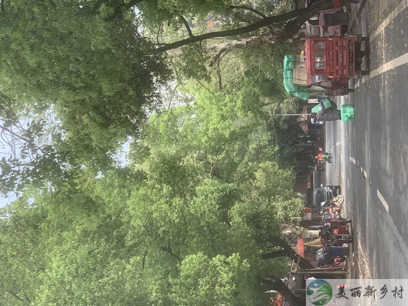 江西省新余市全新装修的独立农家小院带前后二个大院出租