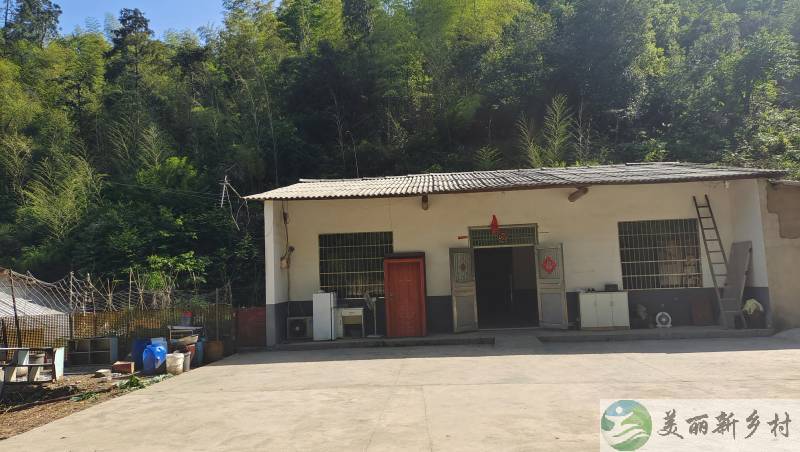岳麓区藕塘小院出租