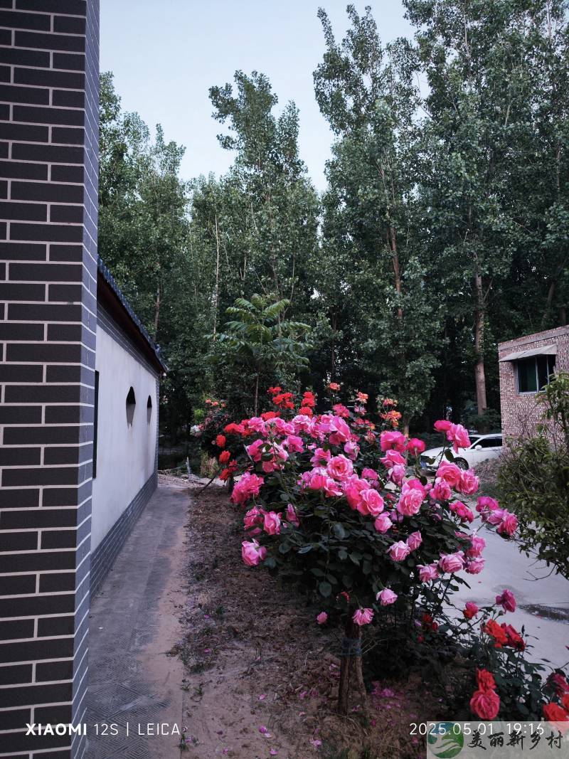 郑州黄河边四合院