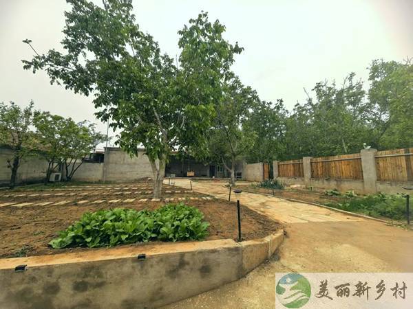 河南寨镇提辖庄村房租出租