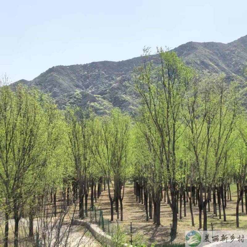 北京延庆农村院子-优选带露台居住小楼出租