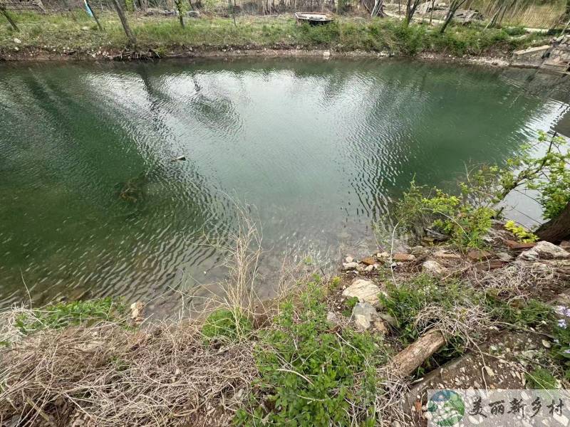 北京延庆农村院子-绝了地下温泉活水2亩独大院出租