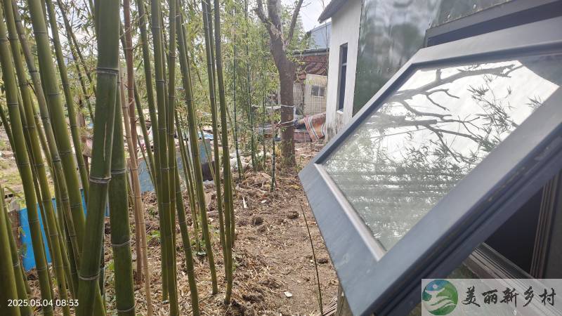 新场王桥村民房出租