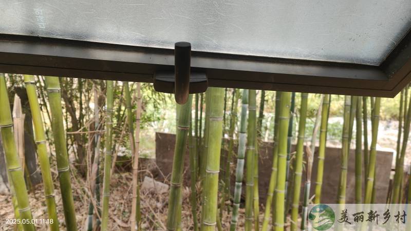 新场王桥村民房出租
