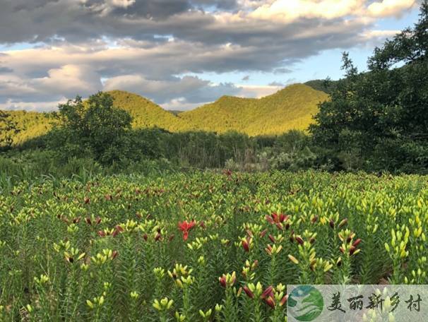 北京延庆四季花海核心区域奢建民宅