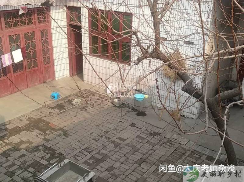自建农家小院出租