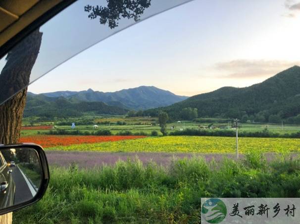 北京延庆四季花海核心区域奢建民宅