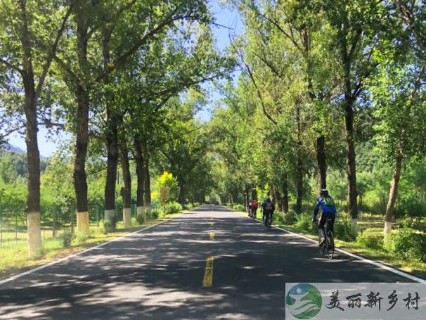 北京延庆四季花海核心区域奢建民宅