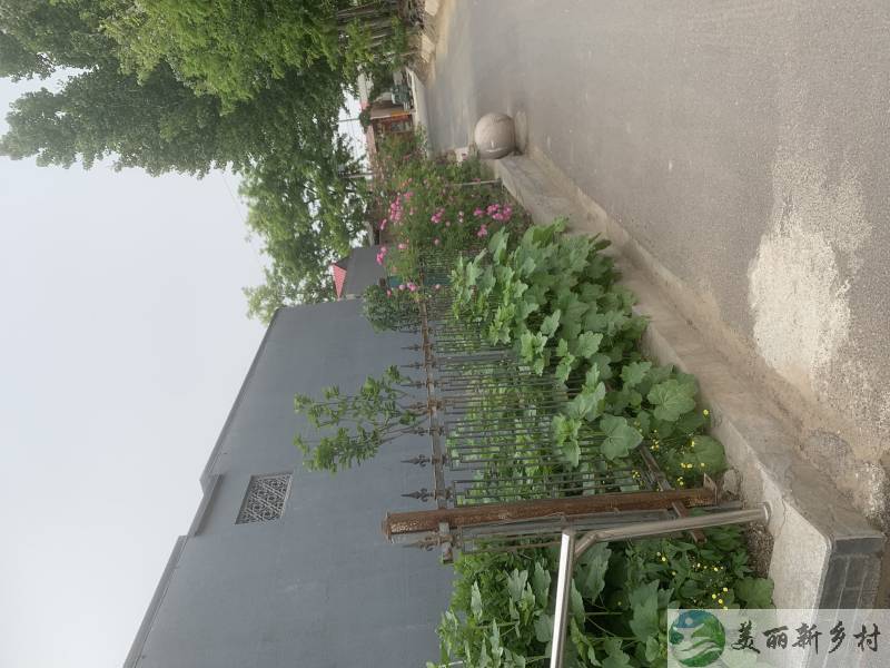 出租农村整院