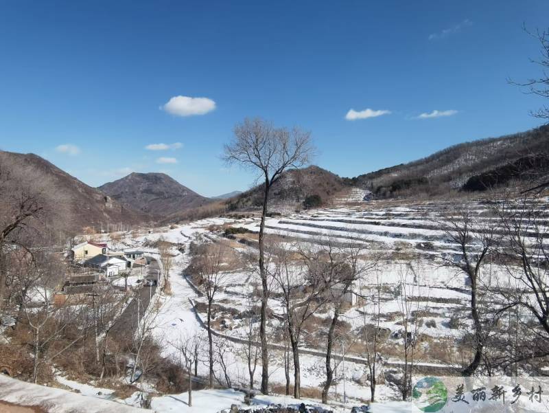 延庆区四海镇观景小院