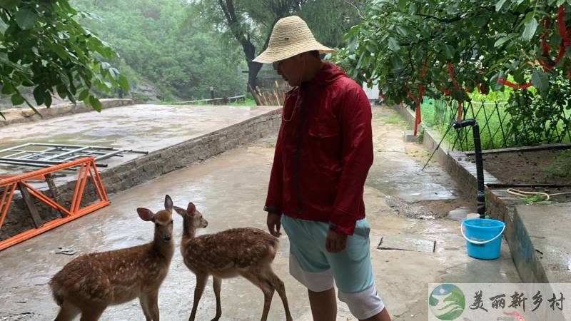 北京怀柔桥梓镇沙峪口水库上王峪村小院出租