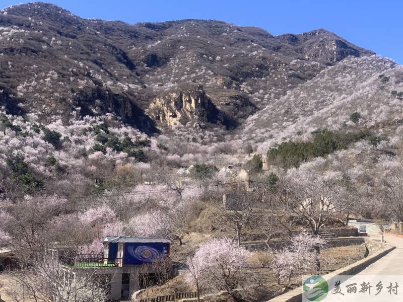 北京怀柔桥梓镇沙峪口水库上王峪村小院出租