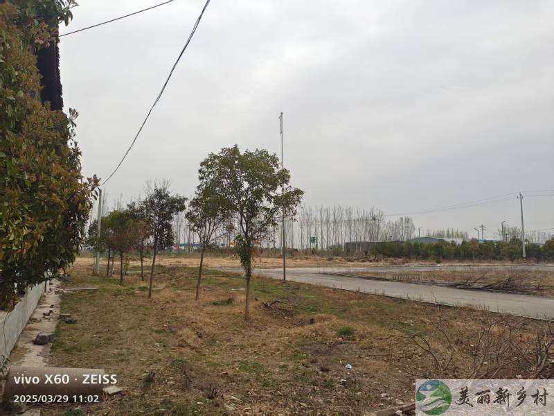 博爱县高速路口农家小院