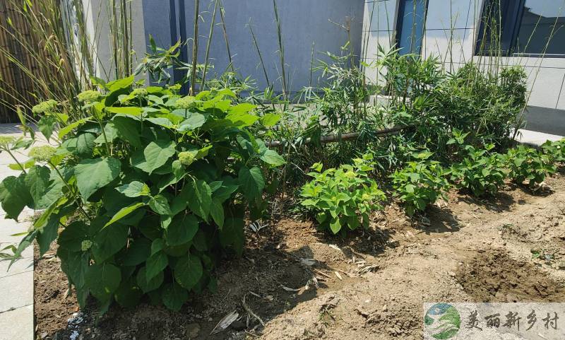 顺义区木林镇荣各庄二层别墅