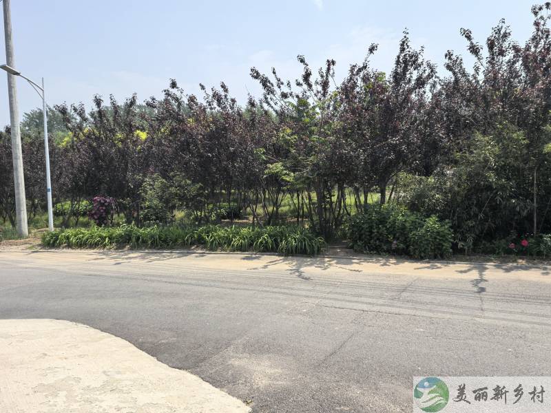 北京顺义李桥镇苏庄村自建二层别墅出租