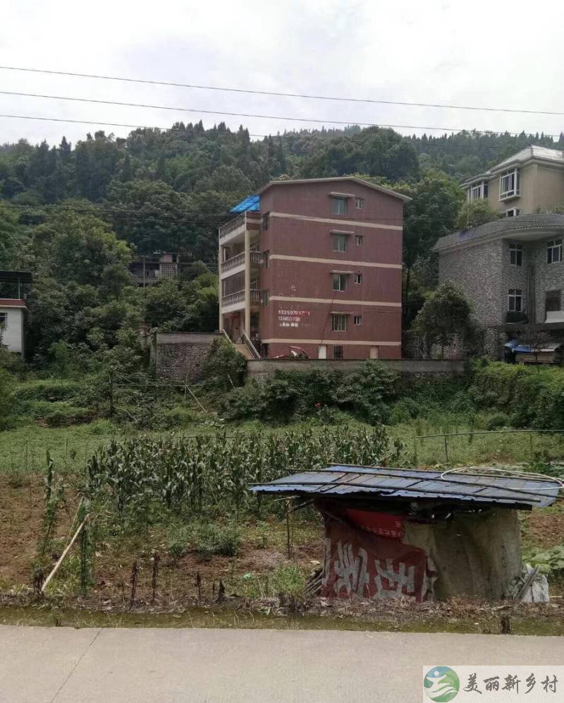巴南区南泉自由村-近郊田园别院有耕地可停车有鱼塘