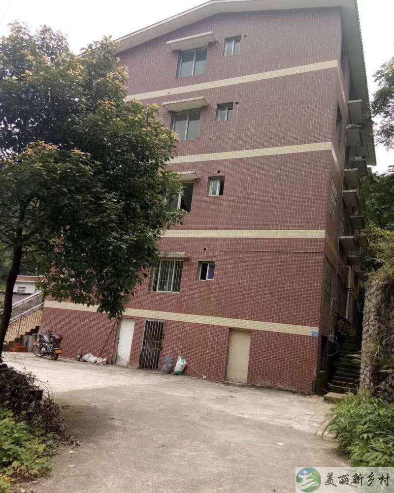 巴南区南泉自由村-近郊田园别院有耕地可停车有鱼塘