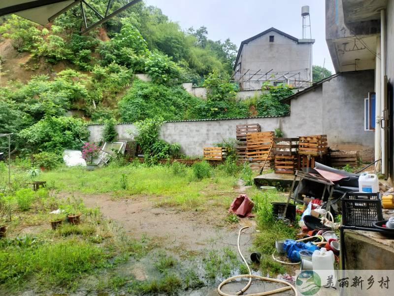 杜泽镇五村房子出租