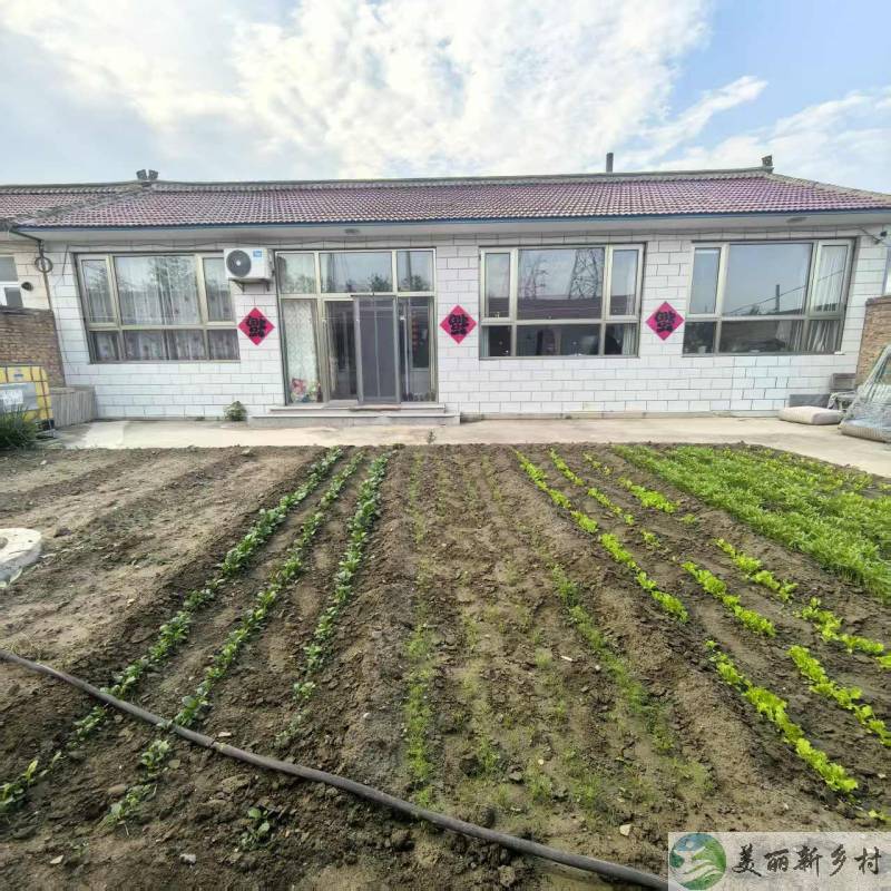 北京延庆农村院子-康庄独立把边风景公园小院出租