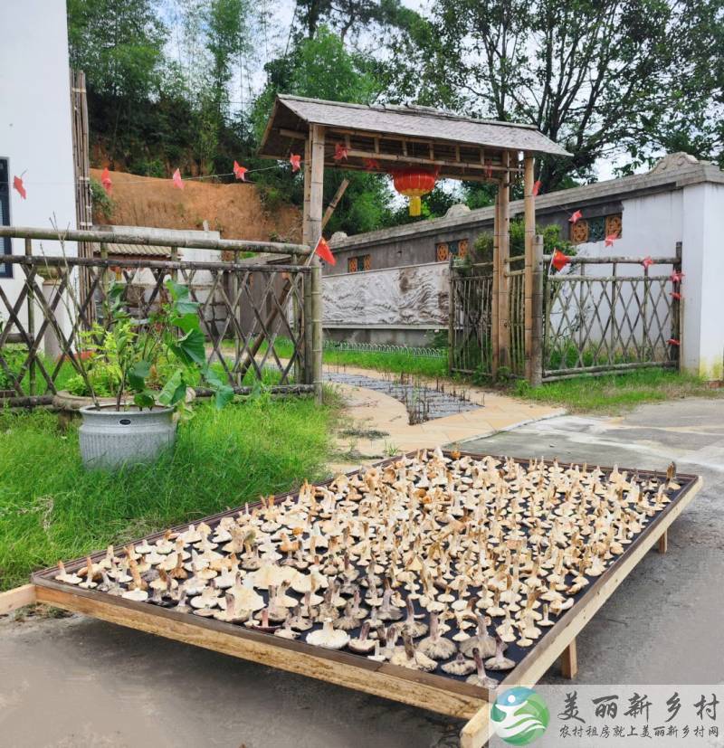 开慧镇开慧村观隐居康养出租