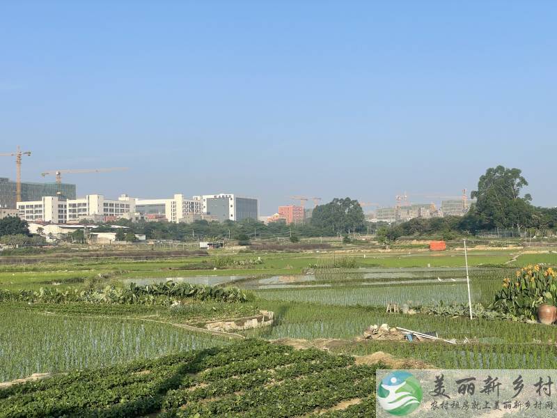 新圩东寮社区整层出租