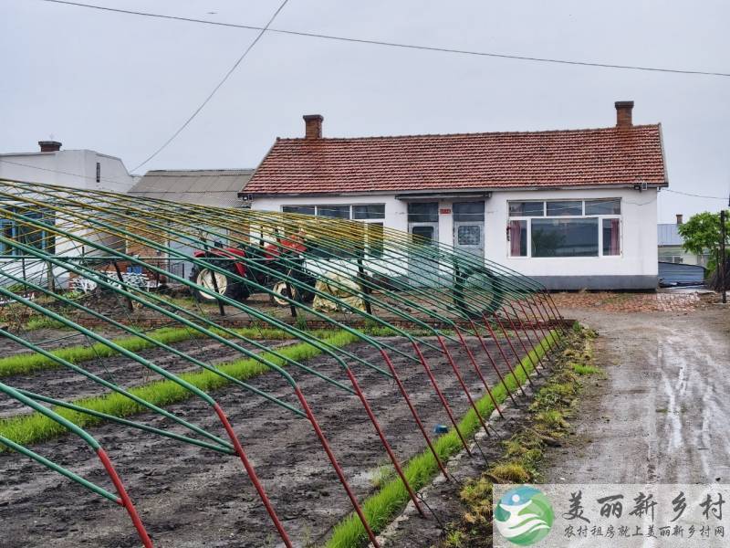铁力镇王杨乡建设村100平房屋出租