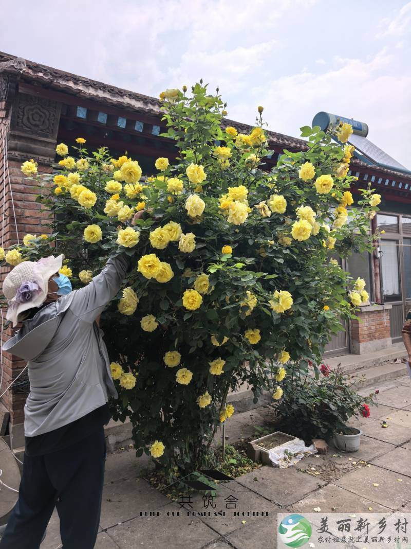 【共筑舍】央企与政府携手宅基地租赁试点项目—— 安全与品质的双重保障【共筑舍】儒林村8号院