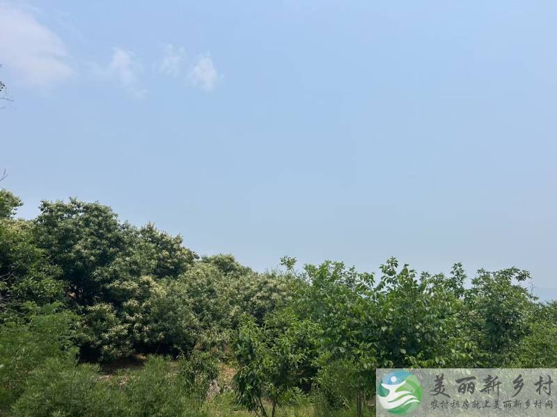 北京怀柔渤海镇慕田峪长城附近亲水乡村木屋别墅出租