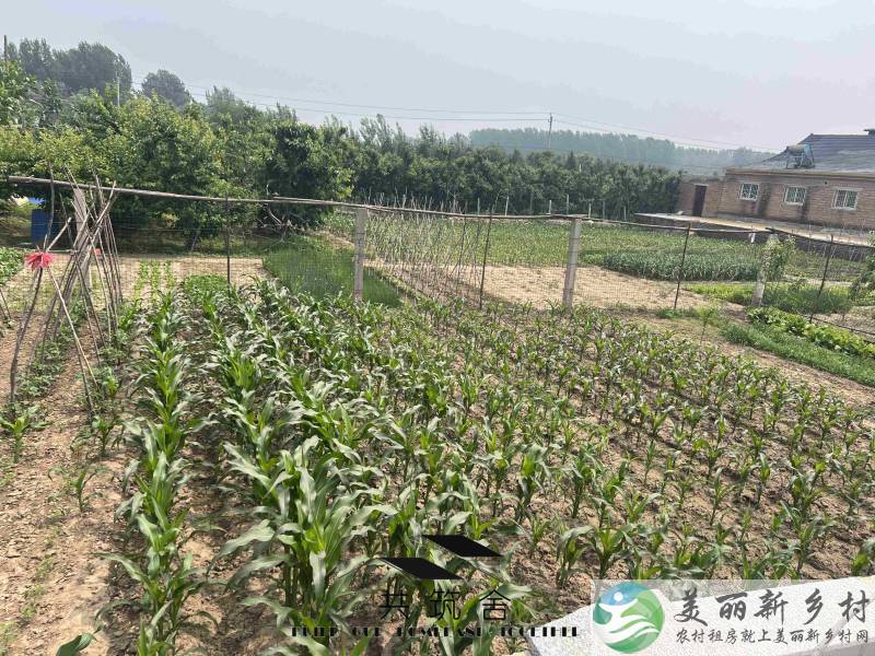 【共筑舍】央企与政府携手宅基地租赁试点项目—— 安全与品质的双重保障【共筑舍】儒林村31号院