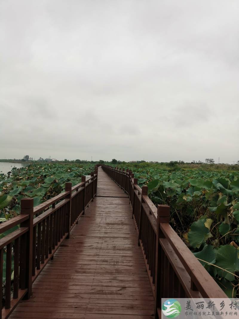 铜铁海风景区内农房出租