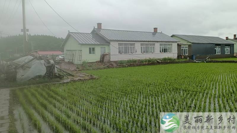 铁力市年丰乡爱民村114平方米两室一厅房屋出租