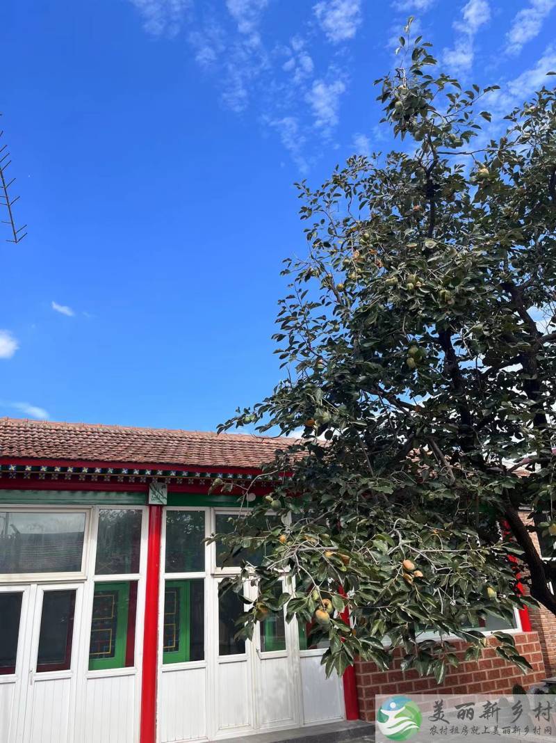 北京通州漷县马头村出租“柿柿如意”小院