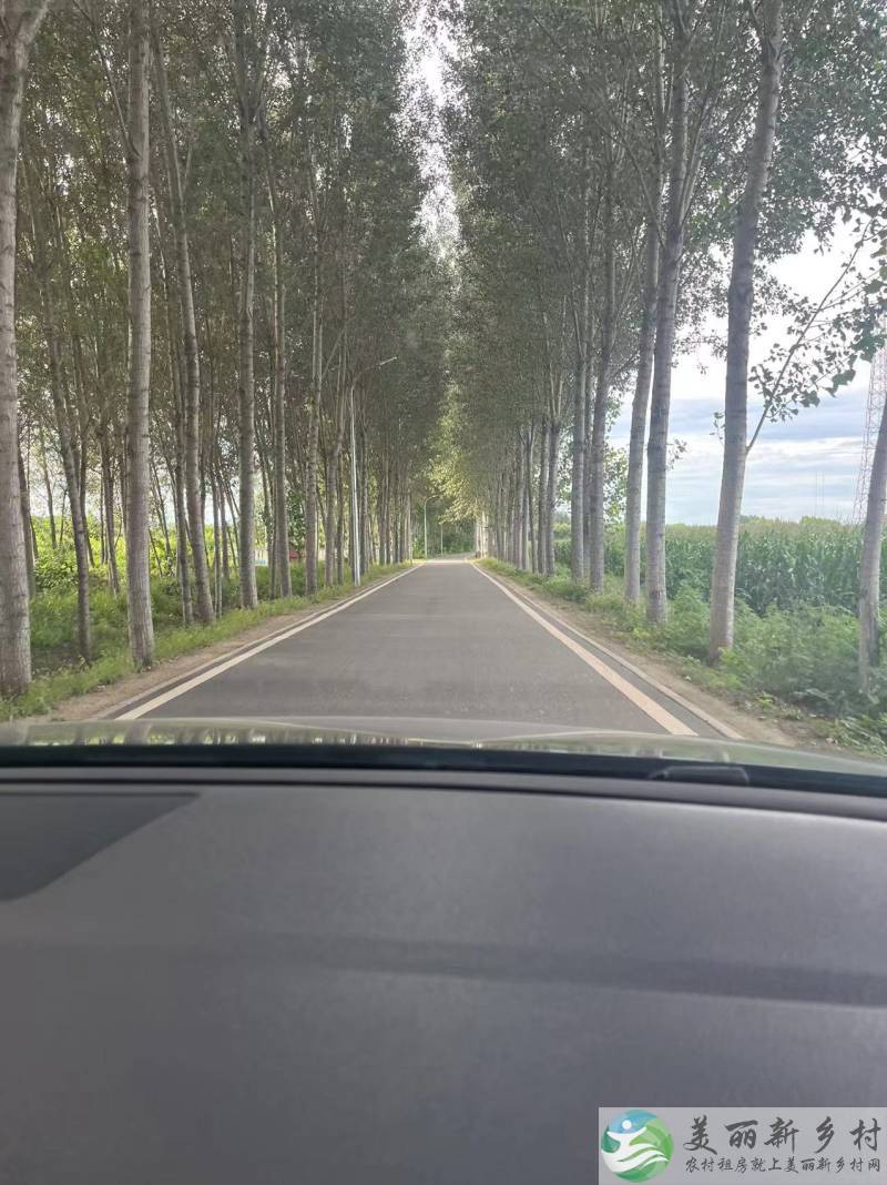 北京通州漷县马头村出租“柿柿如意”小院