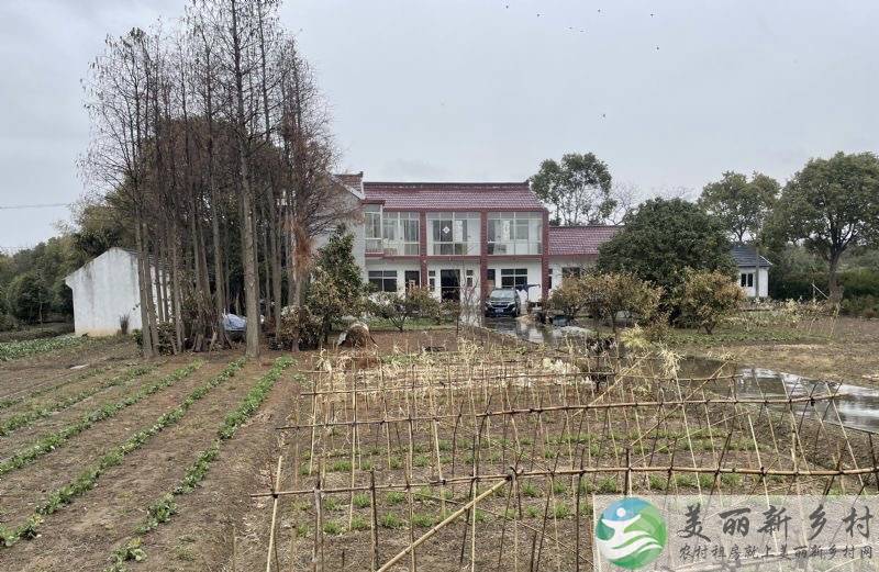 向化镇北港村房屋出租