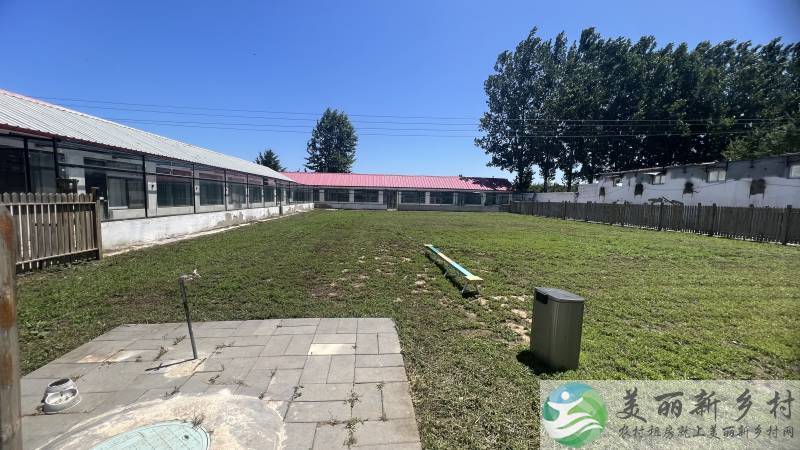 顺义北务镇宠物寄养大院-成品设施拿来就用
