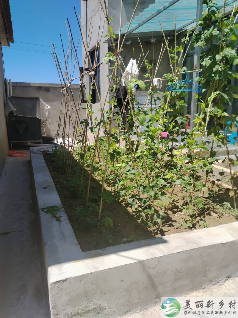 新建二层小院出租